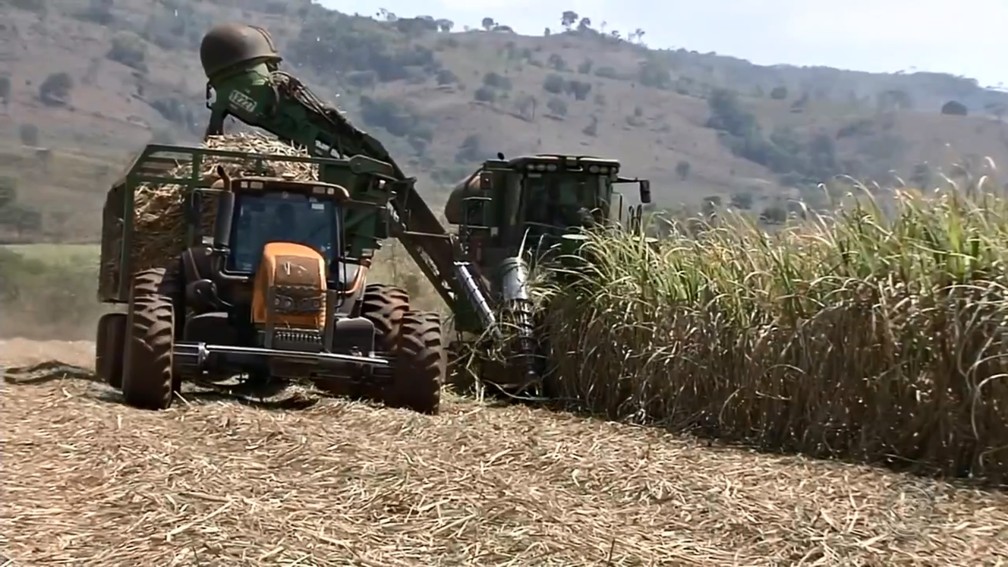  Crescente atividade agrícola impacta os ambientes com fertilizantes e agrotóxicos — Foto: TV TEM/Reprodução