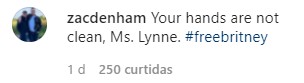 Comentário no post de Lynne Spears (Foto: Reprodução/Instagram)