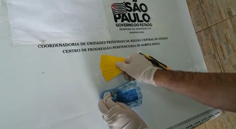 Seis unidades estavam escondidas dentro de uma esponja, diz SAP — Foto: Secretaria de Administração Penitenciária/Divulgação