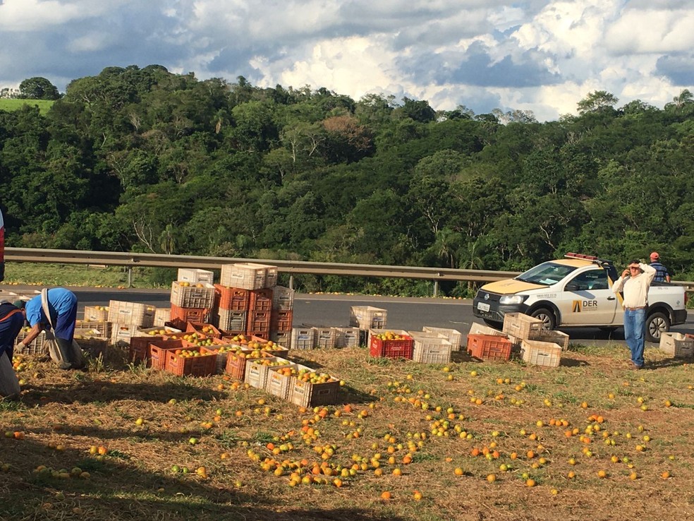 Carga de laranjas ficou espalhada após caminhão tombar em Itapetininga — Foto: Leandro Sampaio/Tv Tem