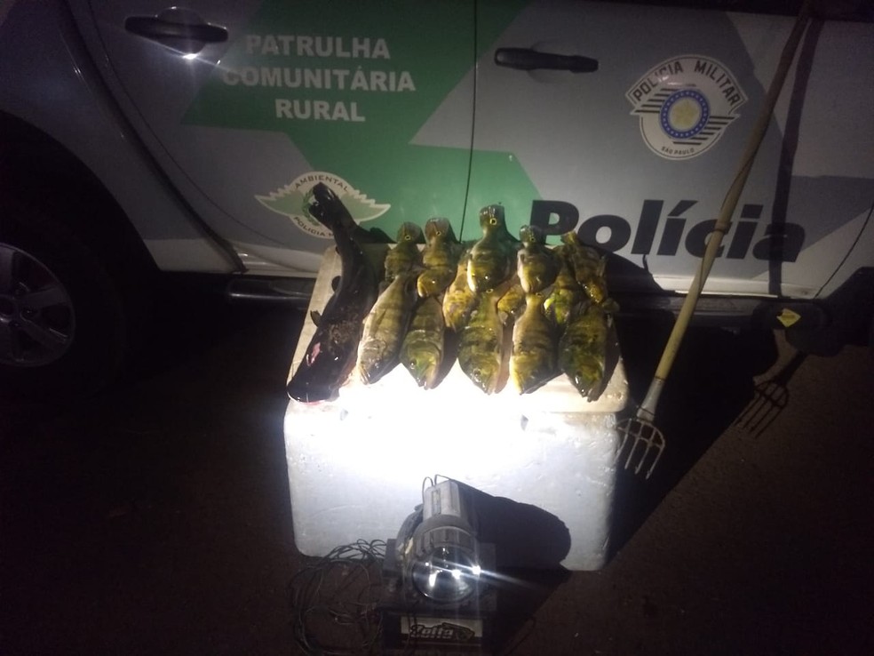 Polícia Ambiental apreendeu peixes e materiais utilizados em pescaria irregular — Foto: Polícia Ambiental
