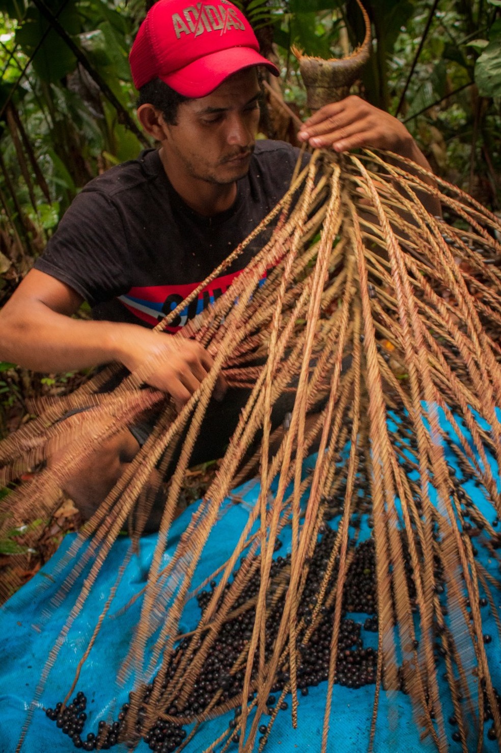 Documentário 'Açaí, Pérola Negra' foi gravado em Guajará-mirim, Rondônia — Foto: Joilson Arruda / arquivo pessoal