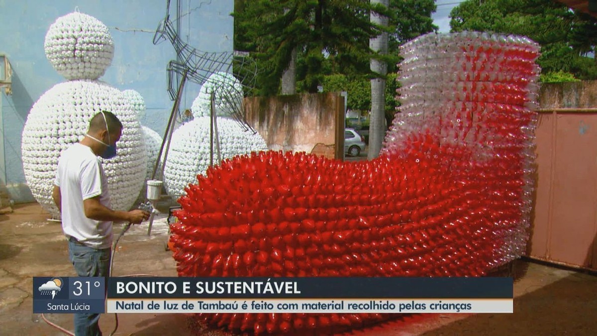 Alunos de Tambaú arrecadam 12 mil garrafas pet para preparação de enfeites de  Natal | São Carlos e Araraquara | G1