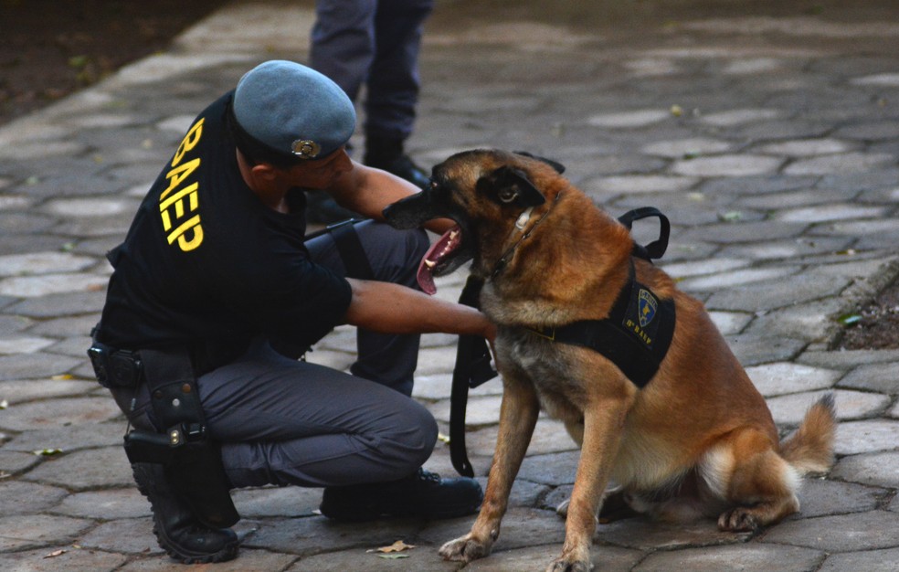 Para atuar no Canil, policiais militares devem estudar vários seguimentos — Foto: Stephanie Fonseca