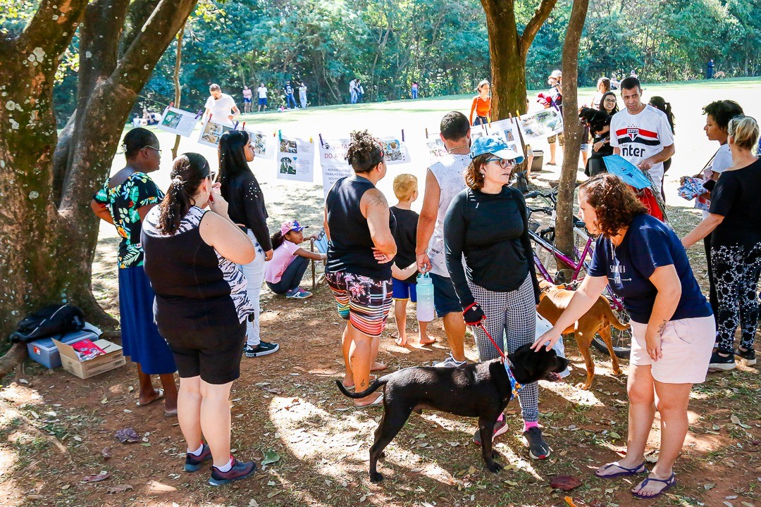Paulínia promove feira de adoção de animais neste domingo