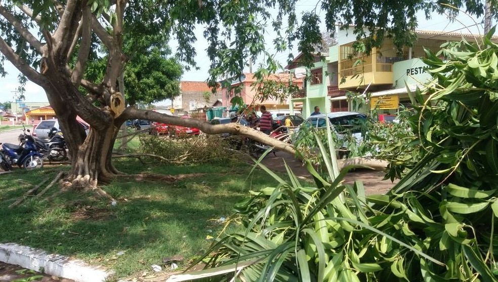 Vendaval deixou rastro de destruição em vários pontos de Rio Branco  (Foto: Lidson Almeida/Arquivo pessoal )