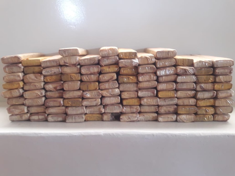 Polícia apreendeu 100 quilos de maconha em Andradina (SP) — Foto: Polícia Militar/Divulgação