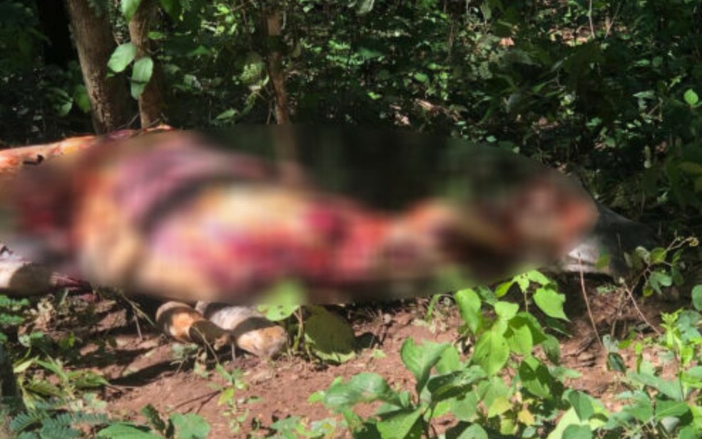 Abatedouro clandestino suspeito de vender carne de cavalo é alvo de busca e apreensão em Hidrolândia, Goiás — Foto: Divulgação/Polícia Civil