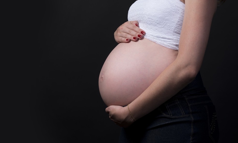 Mulher grávida gestante gestação gravidez — Foto: Pixabay