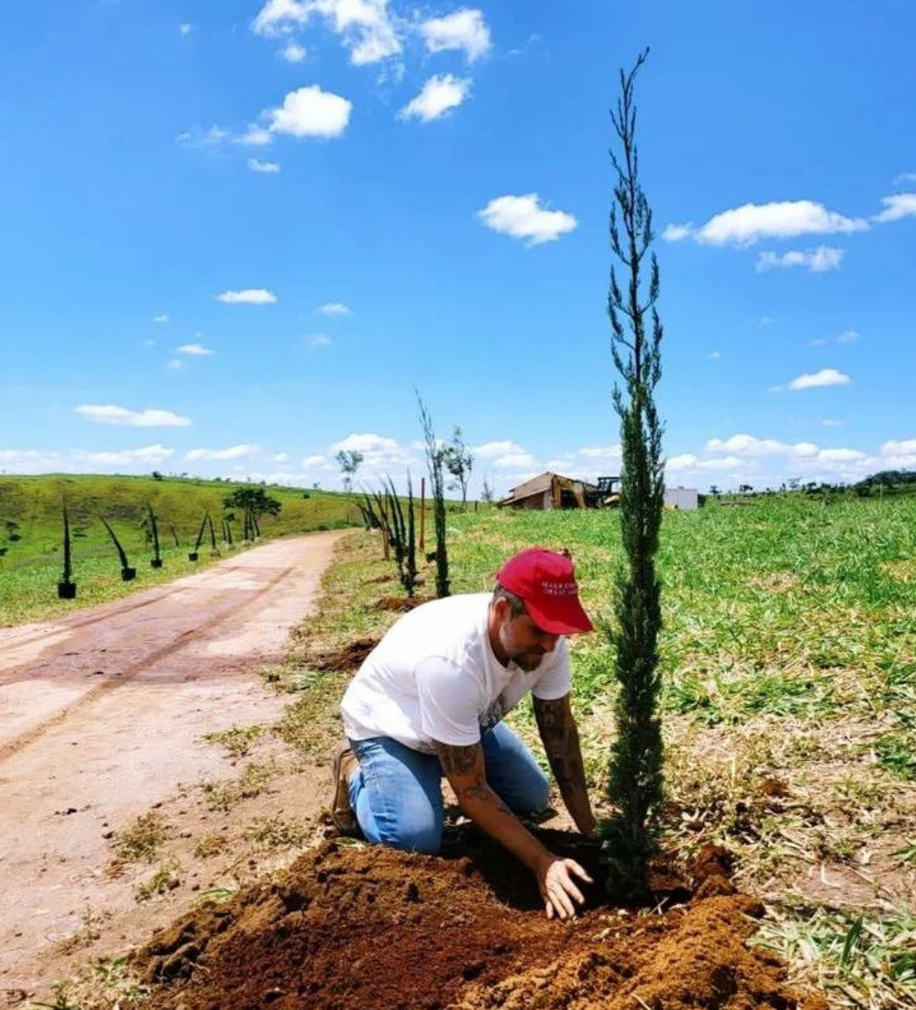 Bruno Gagliasso planta árvore em seu rancho (Foto: Reprodução / Instagram )