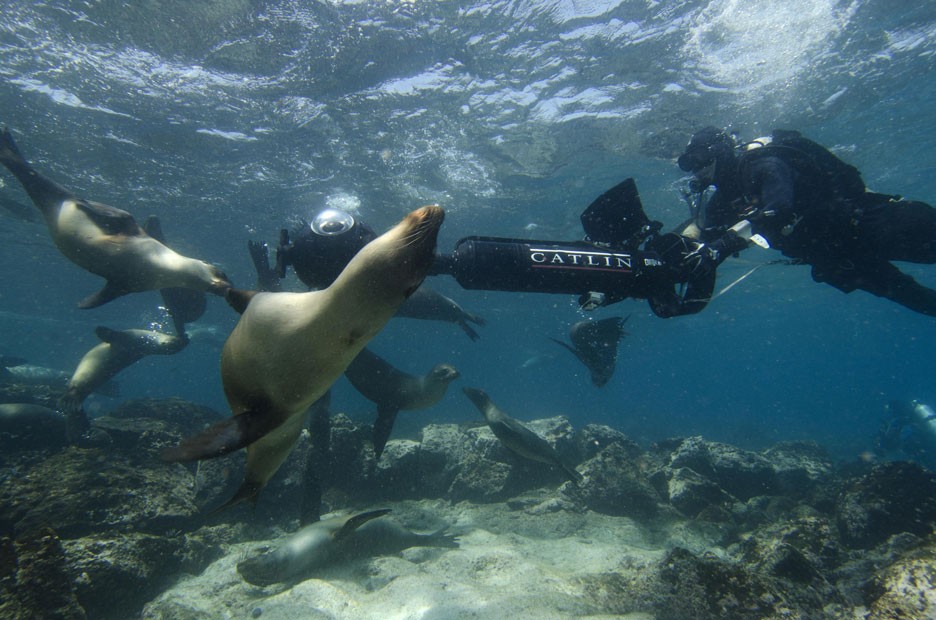 Câmera subaquática, que capta imagens em 360º, foi utilizada por mergulhadores para registrar a biodiversidade marinha da região (Foto: Catlin Seaview Survey/Google)
