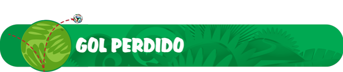 headers Copa 2014 GOL PERDIDO (Foto: infoesporte)