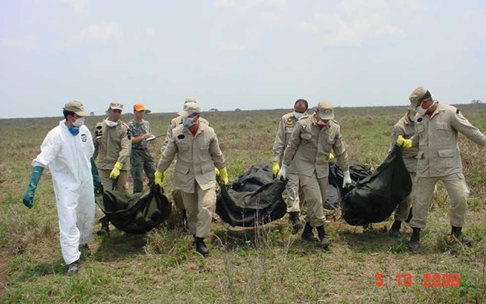 Equipes passaram mais de 50 dias em mata para resgate dos corpos das vítimas — Foto: Arquivo/Corpo de Bombeiros de Sinop (MT)