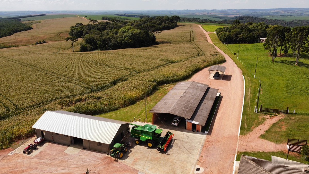 Produzent verkauft nachhaltige Sojabohnen-Gutschriften nach Europa und macht Platz für andere Immobilien |  Nachhaltige Landwirtschaft