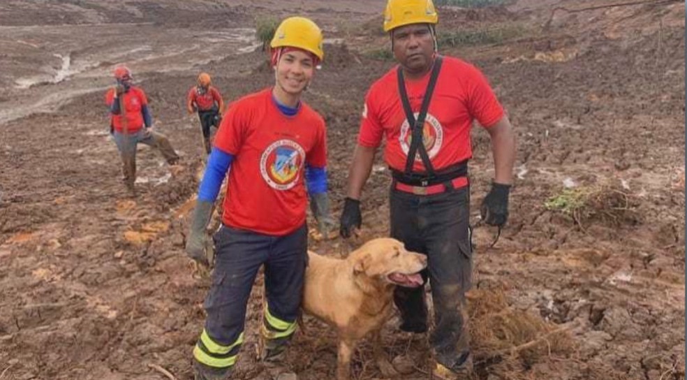 Cachorros dos bombeiros do DF ajudam no resgate de vítimas do rompimento da barragem em Brumadinho (MG) — Foto: TV Globo/Reprodução