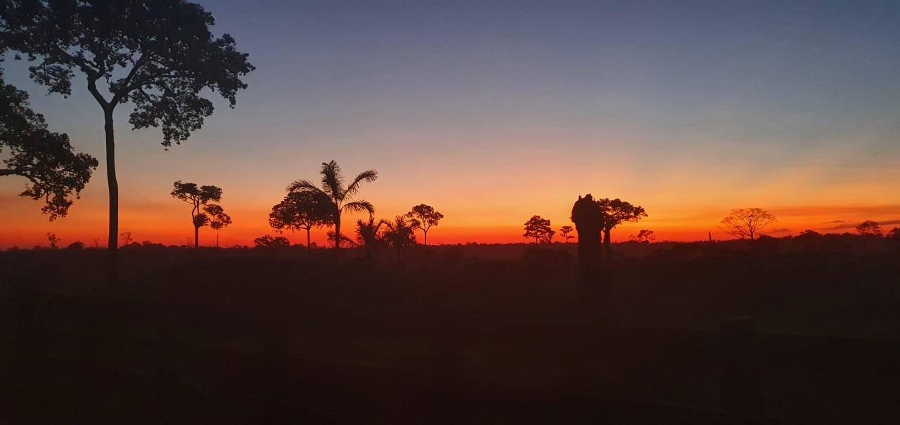 Semana inicia com sol e tempo abafado em Rondônia; veja a previsão do tempo