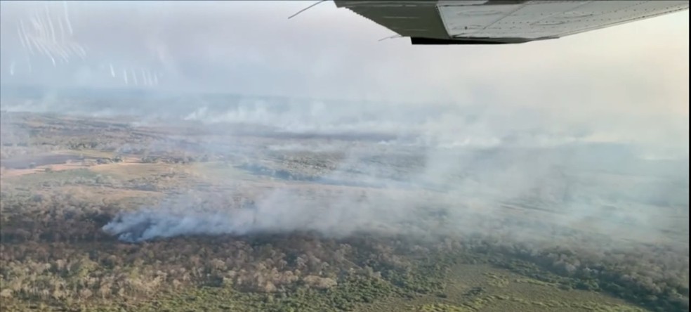Incêndios atingem Pantanal e Parques do Xingu e de Chapada dos Guimarães em Mato Grosso — Foto: TV Globo