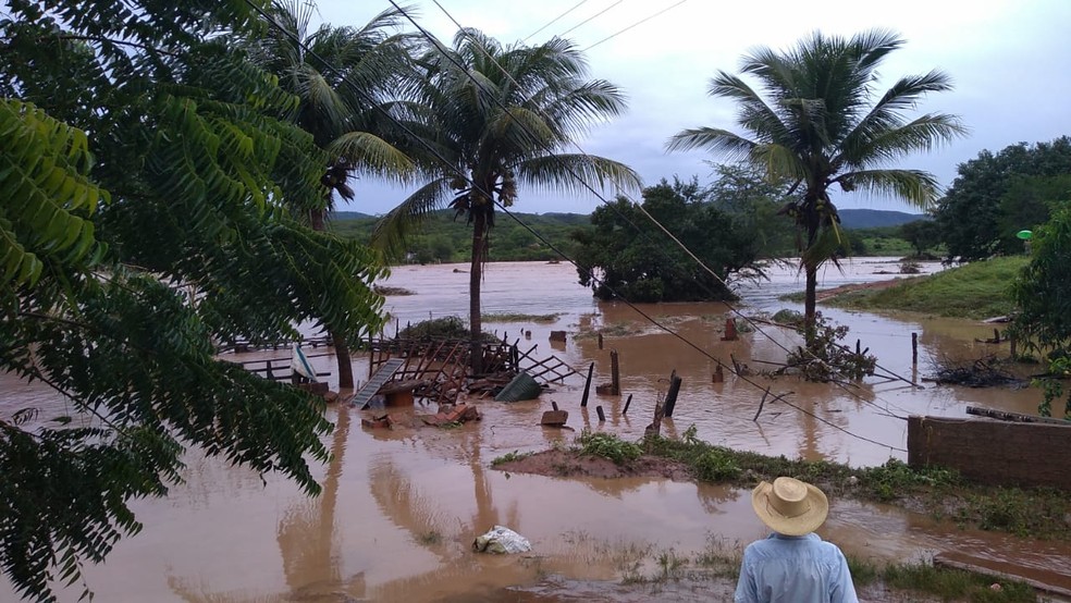 Com a força das águas, casas foram abaixo e lavoura se perderam em Quiterianópolis — Foto: Arquivo pessoal 