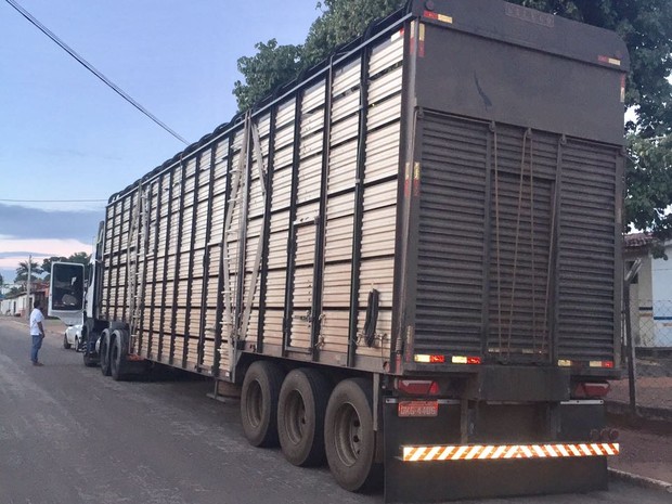 Carreta com bois foi apreendida em Araguaçu (Foto: Divulgação/Delegacia Fazendária de Gurupi)