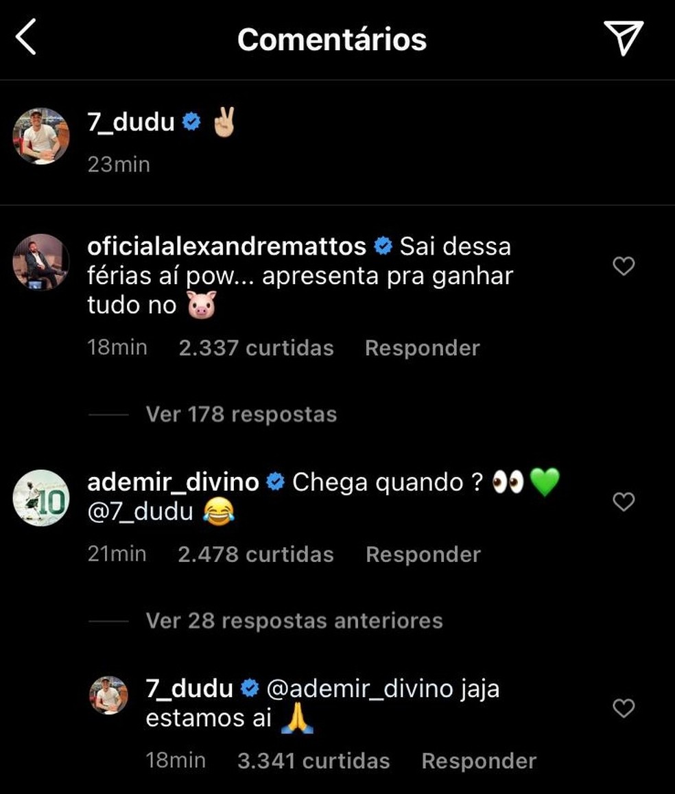 Dudu troca mensagens com Ademir da Guia no Instagram — Foto: Reprodução