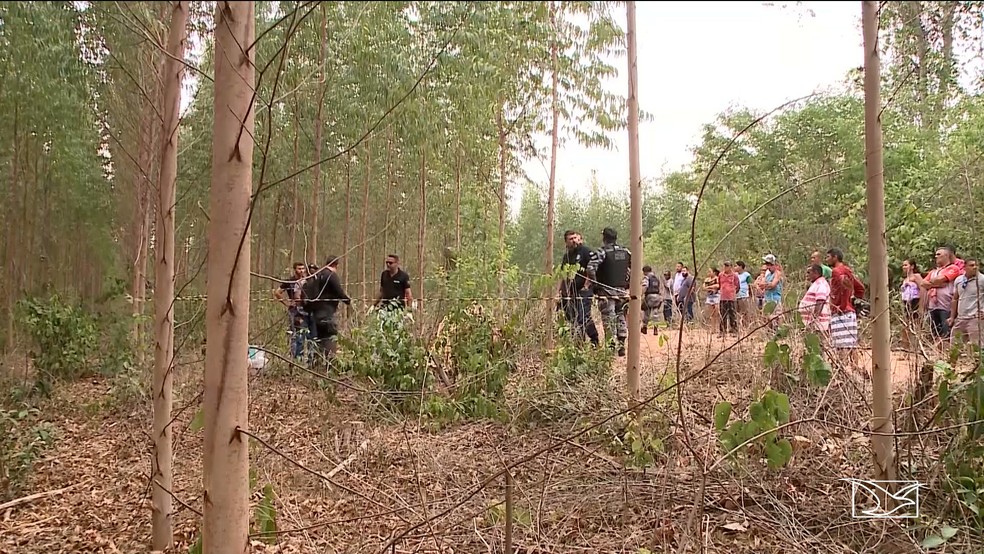 Polícia Civil encontrou projéteis em plantação onde corpo de Ivanildo Paiva foi encontrado e confirmou morte no local — Foto: Reprodução/TV Mirante