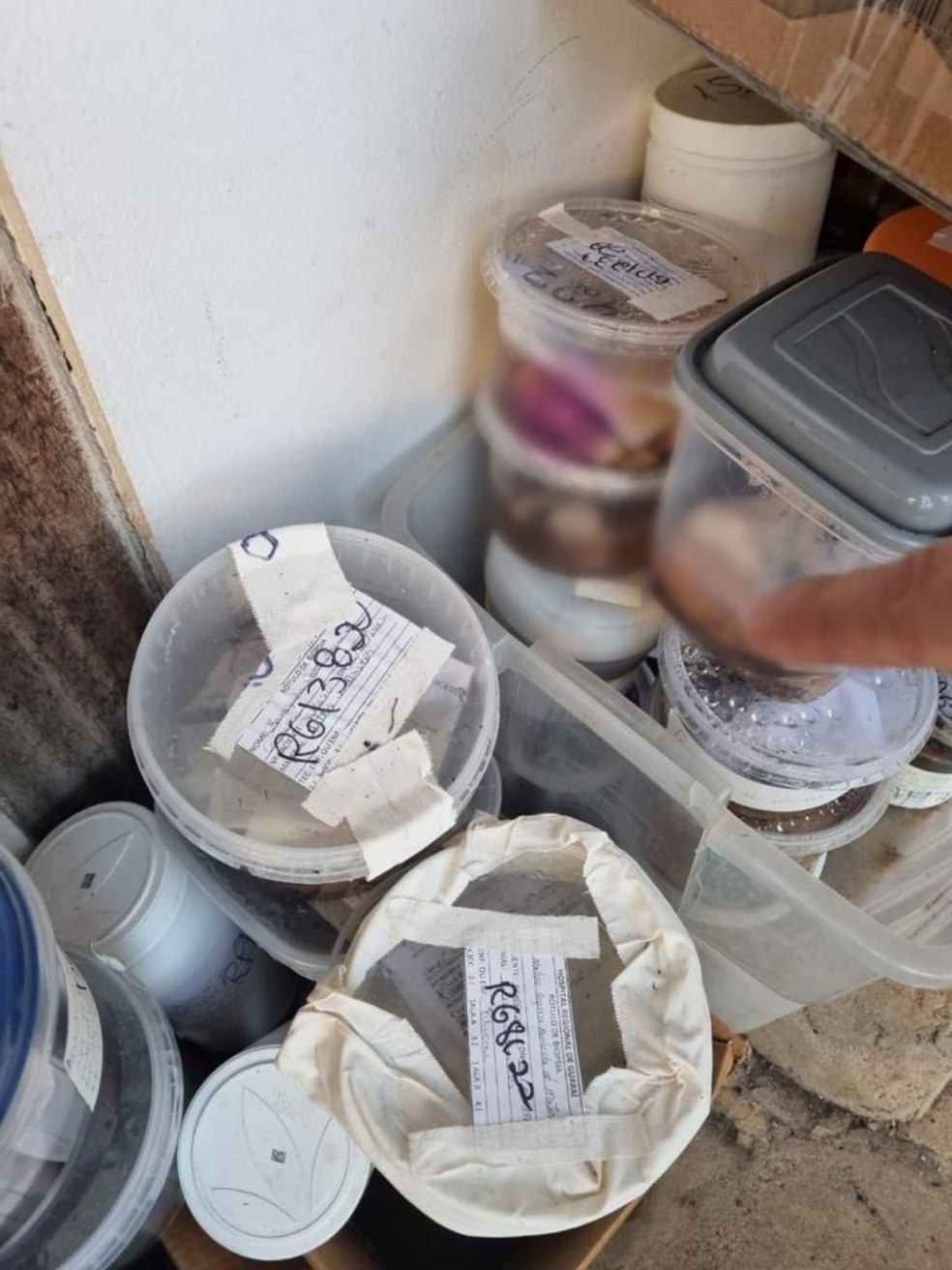 Operação apreendeu amostras humanas em potes de plástico — Foto: Divulgação/Polícia Civil