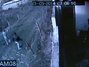Imagens mostram suspeitos de furtar leão em Monte Azul Paulista (Foto: Ronaldo Gomes/EPTV)
