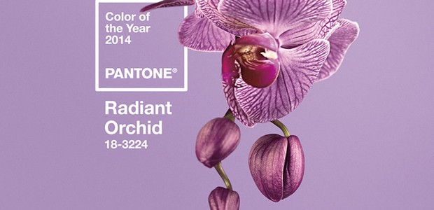 Pantone cor do ano 2014: Radiant Orchid (Foto: Pantone/Divulgação)