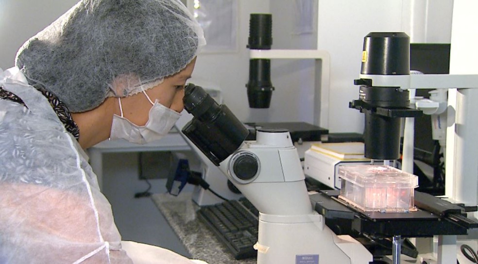 USP de Ribeirão Preto estuda uso de células modificadas no combate à leucemia (Foto: Antonio Luiz/EPTV)