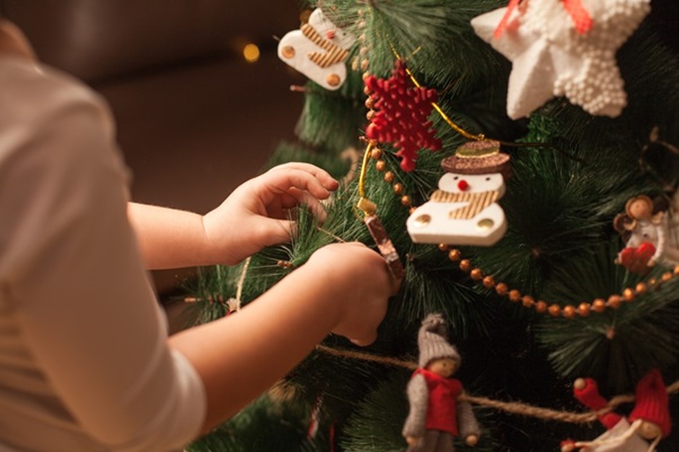 Árvores de Natal variam de R$ 79,90 até R$ 2.799, em João Pessoa, segundo Procon-PB — Foto: Divulgação