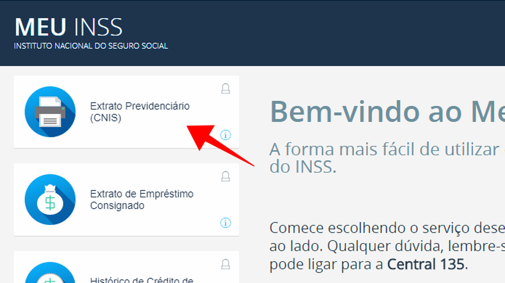 Acesse a opção de extrato previdenciário no Meu INSS (Foto: Reprodução/Paulo Alves)