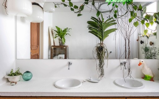 As 7 melhores plantas para colocar na casa-de-banho