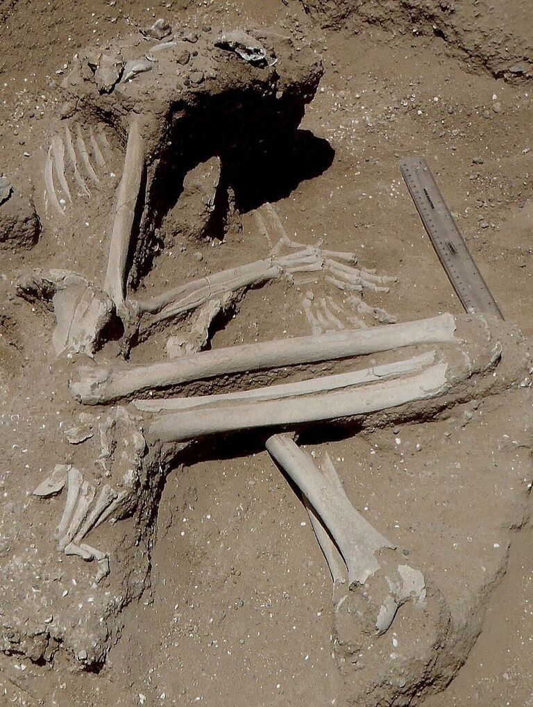 Corpos encontrados pertenciam a uma tribo de caçadores (Foto: Marta Mirazón Lahr)