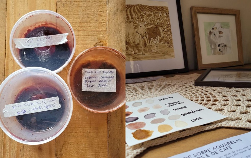 Artista criou um catálogo próprio e cada recipiente recebe os nomes dos tipos de uva em Jarinu (SP) — Foto: Jéssica Soranz/Arquivo Pessoal