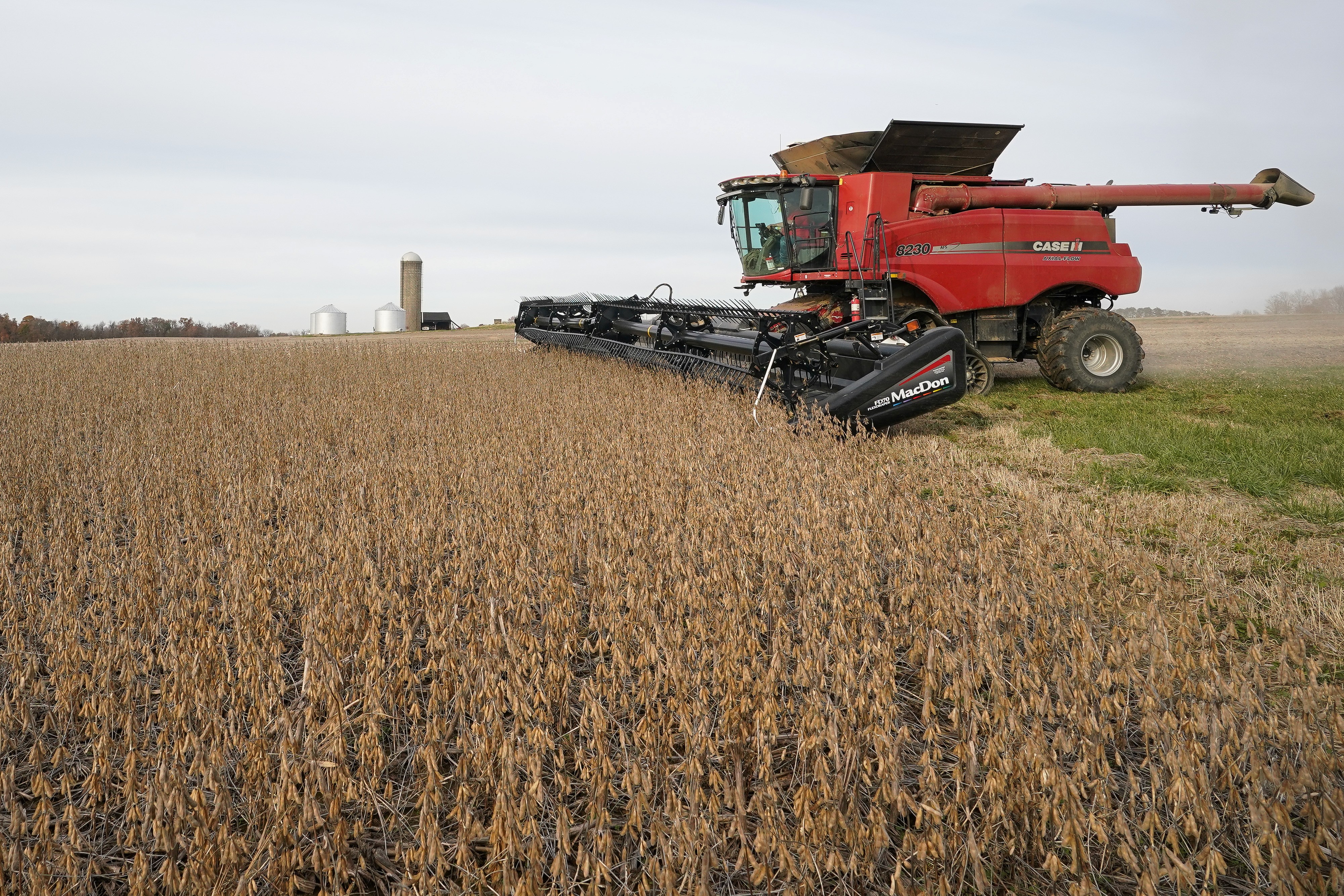 Colheita de soja em Indiana, EUA (Foto: REUTERS/Bryan Woolston)