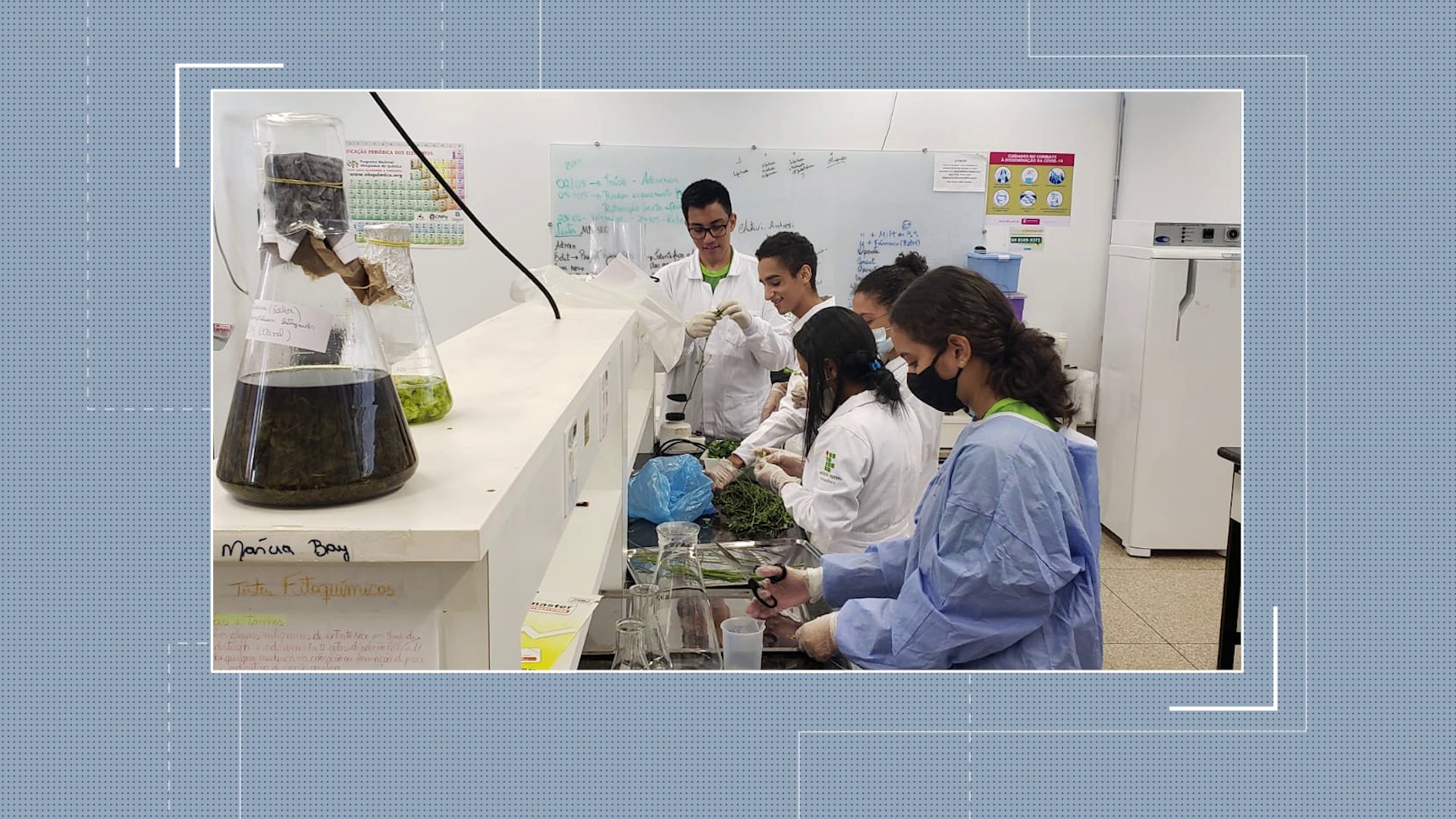 Estudantes de RondÃ´nia criam 'biopomada' para tratar leishmaniose e ganham prÃªmio nacional