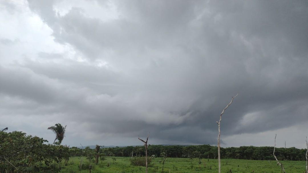 G1 Rondônia Notícias E Vídeos Da Rede Amazônica 7809