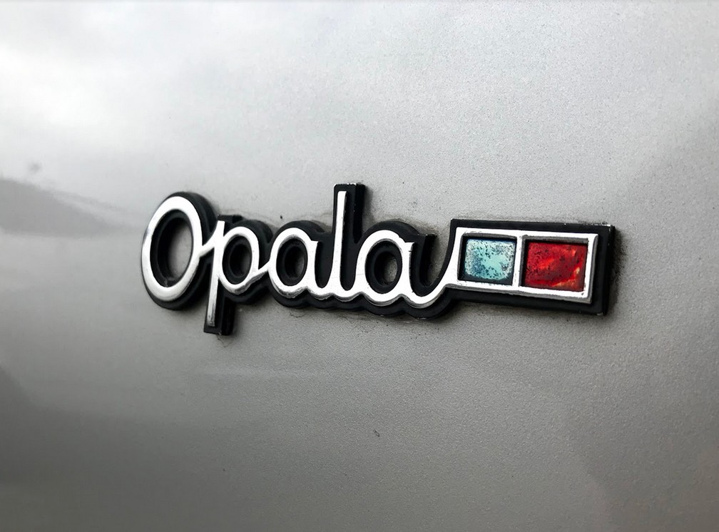Encontro de Opalas no Salão do Automóvel 2018 — Foto: André Paixão/G1