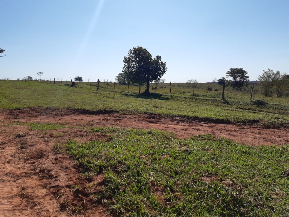 Local fica localizado pr&oacute;ximo ao Balne&aacute;rio Laranja Doce, em Martin&oacute;polis &mdash; Foto: Defesa Civil 