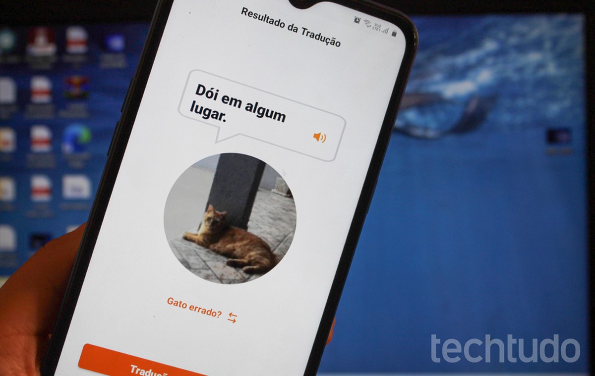 Aplicativo que traduz o miado do gato: como usar o MeowTalk no celular