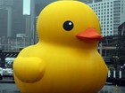 Artista holandês acusa Fiesp de plágio em pato amarelo