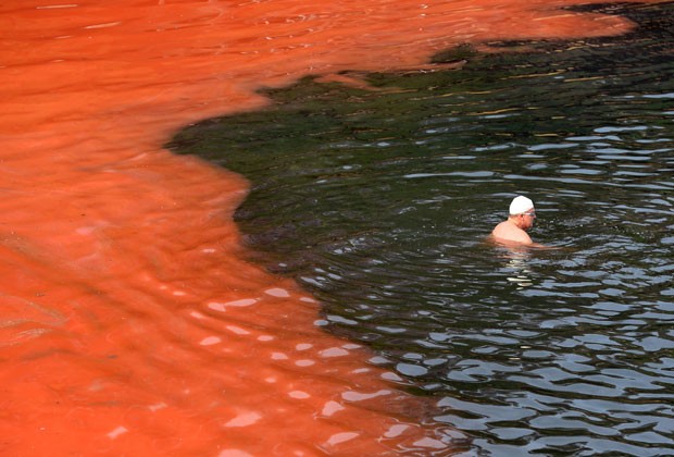 Banhista para antes de chegar à área do mar que ficou vermelha devido a uma alta proliferação de algas na praia de Clovelly, em Sydney, na Austrália, nesta terça-feira (27) (Foto: William West/AFP)
