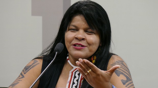 Sonia Guajajara  (Foto: Roque de Sá / Agência Senado)