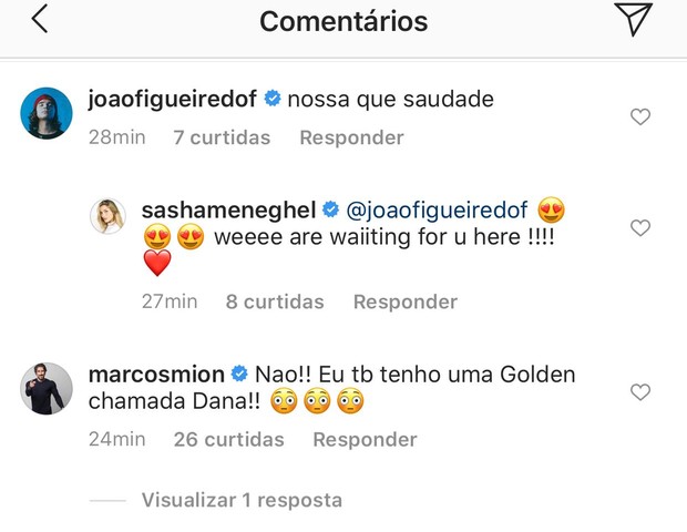 Comentários para Sasha (Foto: Reprodução/Instagram)
