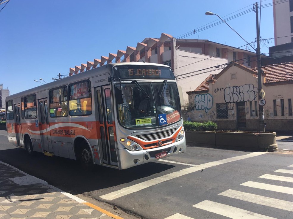 Câmara de Bauru aprova projeto de lei que propõe redução no valor da tarifa do transporte público  — Foto: Vanessa Aguiar/TV TEM