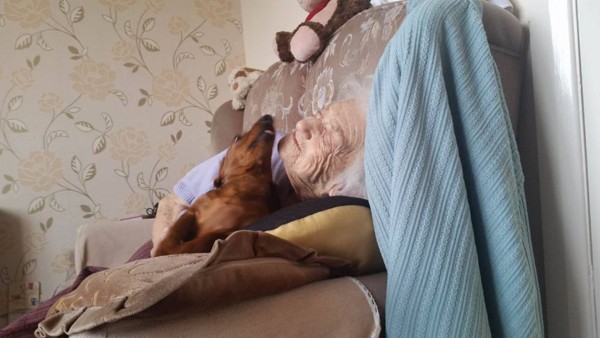 Cadela ajuda a aliviar sofrimento de idosa com alzheimer  (Foto: Reprodução / Twitter)
