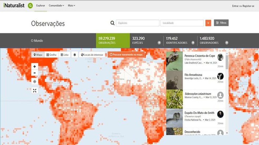 O iNaturalist permite identificar e mapear a biodiversidade em todo o mundo — Foto: Reprodução/Juliana Monaco