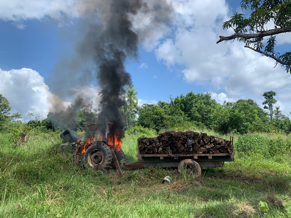 Maquinário de madeireiro ilegal é destruído no Pará. — Foto: Reprodução / PF-PA