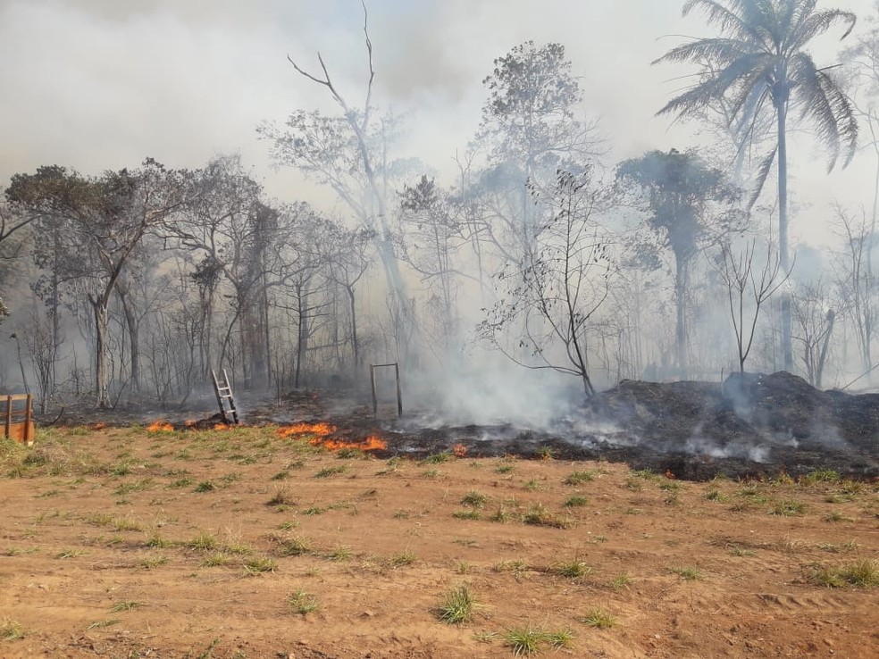 Área de mata é destruída por incêndio em Espigão, RO — Foto: Secretaria Municipal de Meio Ambiente/Divulgação