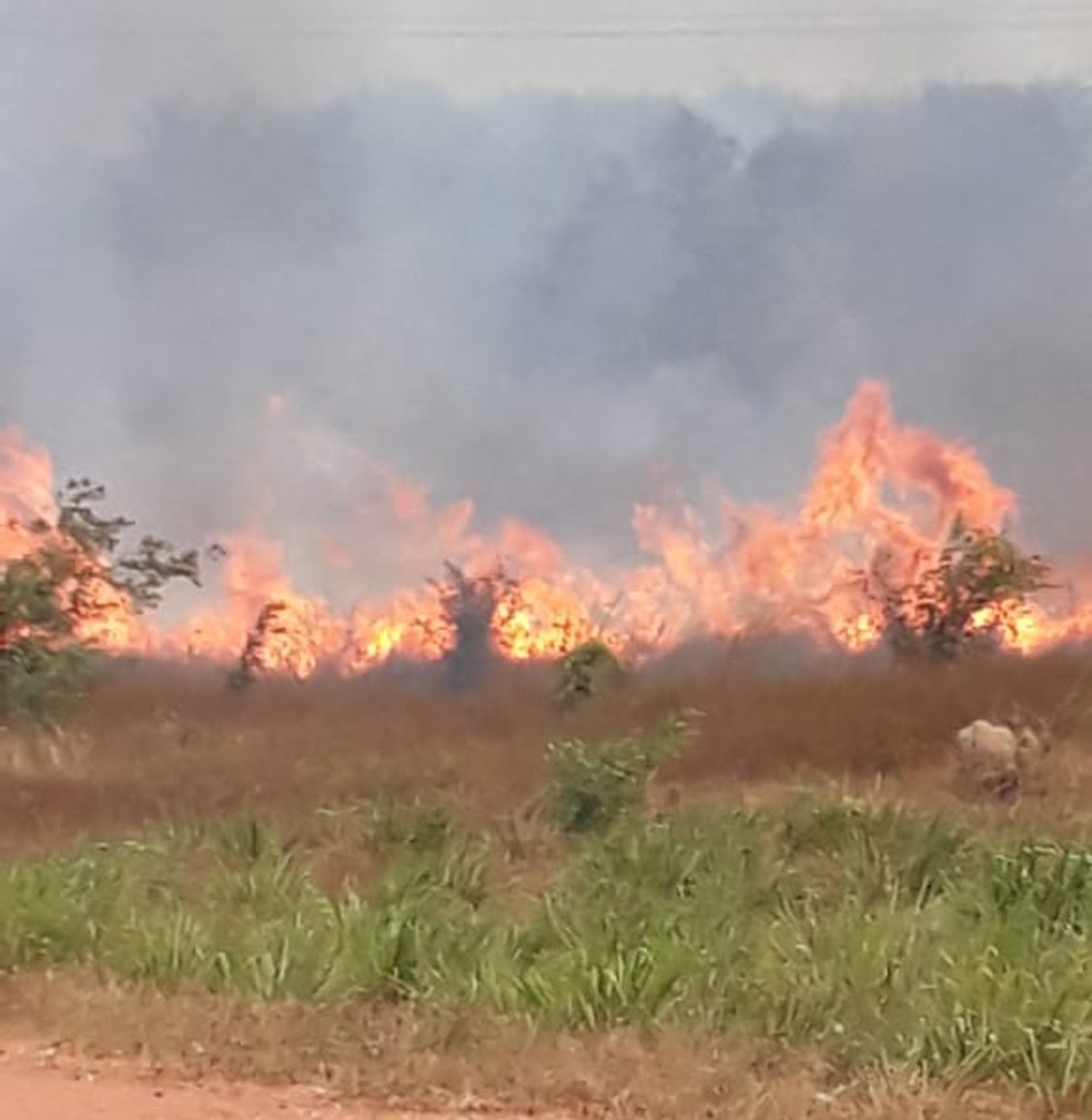 Fogo atinge vegetação na Major César  — Foto: Divulgação/Sinpoljuspi